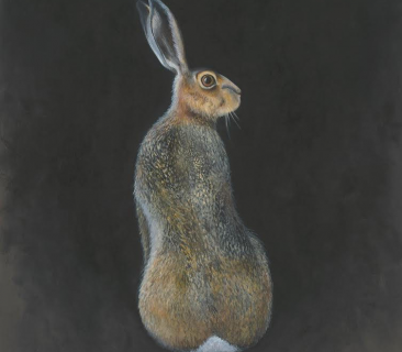 Hare Limited Edition Giclee Print