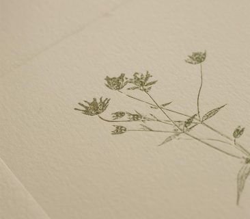 Original Plant Monoprints